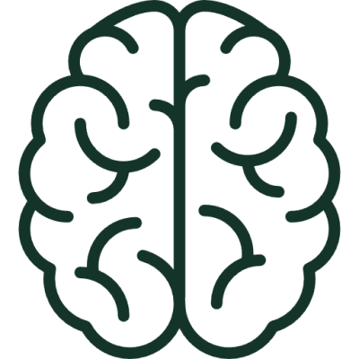 Intelligence