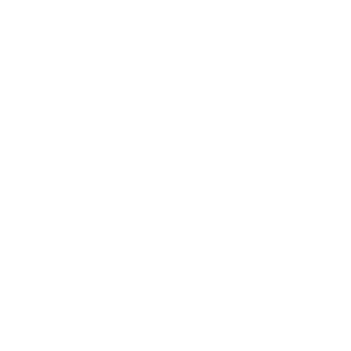 Financial Systems & Navy ERP